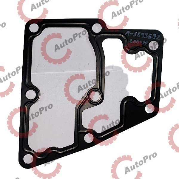 M-3893692 Прокладка корпуса термостата  CUM  M11   MC BEE