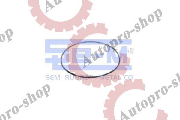 7319 Кольцо уплотнительное задней бортовой MAN,MB  SEM