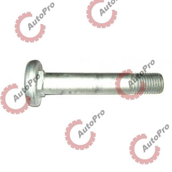 10262 Болт полурессоры М30х170 BPW 