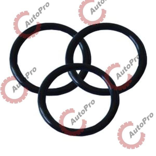 DSG-3029847 Кольцо уплот.трубки масленного насоса CUM 14 (кругл.сеч) DSG