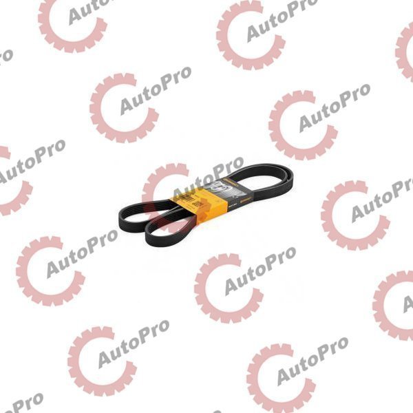 6PK1613 Ремень поликлиновой 6PK1613 CONTITECH