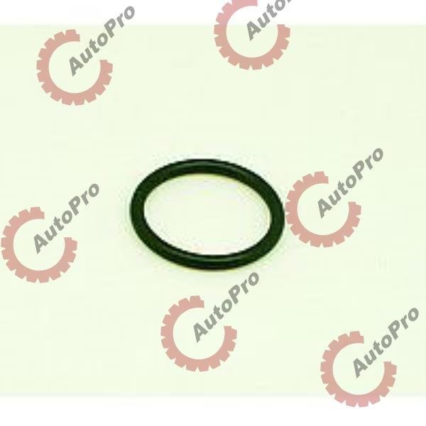 DSG-3678756 Кольцо  маслозаборника CUM ISX   DSG