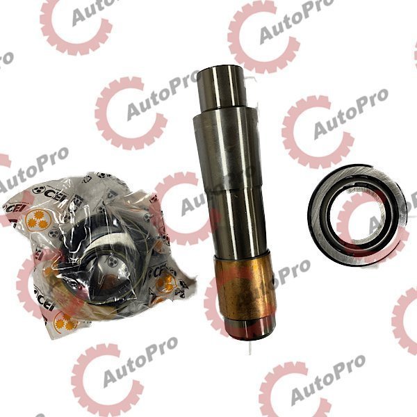 230.013 Ремкомплект шкворня (1 сторона) SCANIA  CEI