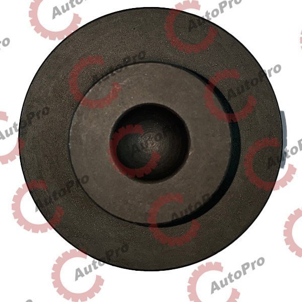 075.221 Шайба полурессоры центровочная 30,5x54x20,3  SAF SAMPA